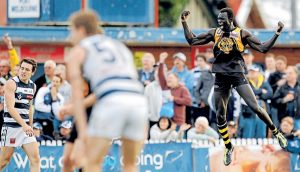 VFL: Werribee Tigers fall just short