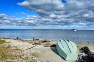 Point Wilson urged as container port over Hastings