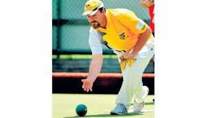 Bees find road too rocky