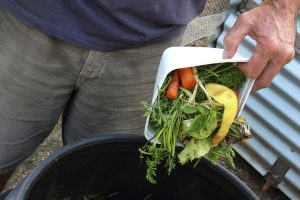 Council plan to turn food waste into compost
