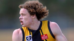 VFL: Werribee Tigers rue rash of errors against Essendon