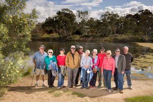 High heart disease rate in Wyndham