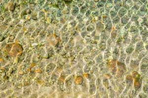 Point Cook school receives environment grant