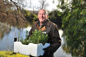 Scouts roll up for replanting after vandals strike