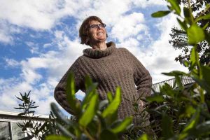 Skeleton Creek damming damned