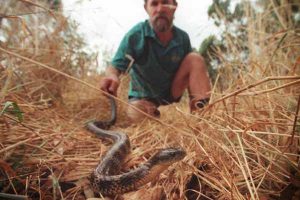 Spring snake season warning