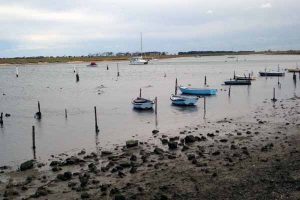 No tick from Werribee River quality report