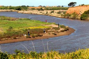 Platypus death sparks warning