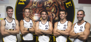 Leaders locked in for Werribee Tigers