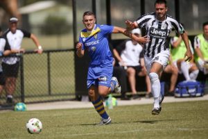 Twin strikers set the Bees swarming