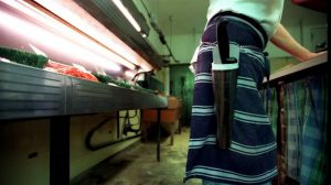 Health officials investigate Q fever outbreak in Melbourne’s west