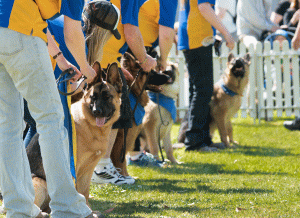 Get ready for the pet expo