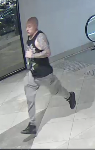 Police appeal for help following attempted theft