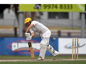 Conditions suit for Werribee run feast