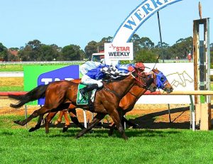 On course for top racing action at Werribee Racecourse