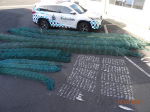 Illegal fishers catch 1000 fish in Sanctuary Lakes