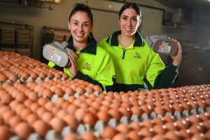 Virtual reality egg show