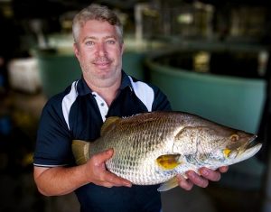 Seafood industry is on ice