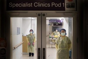 Fourteen new cases of corona