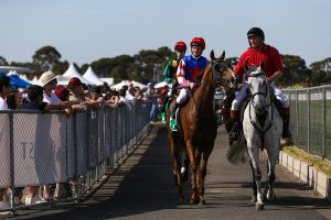 Race meeting goes ahead at Werribee