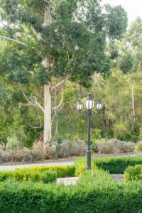 Tree register to grow