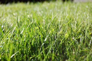 School shuts for soil testing