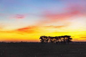 Werribee South in focus