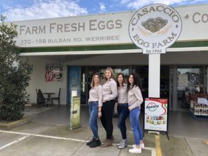 Business as usual at Casaccio Egg Farm