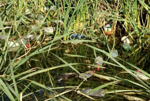 Rivers to be cleaned