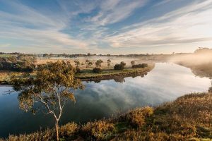 A snapshot of nature