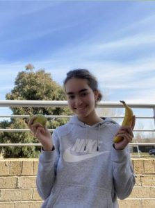 Students tackle war on waste