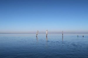 Photos showcase Wyndham’s beauty