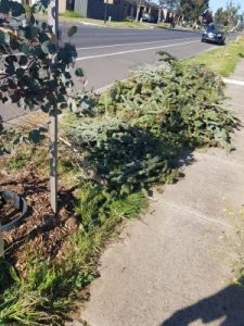 Call for better litter education