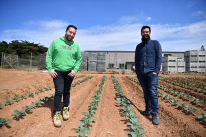 Thriving in a new career