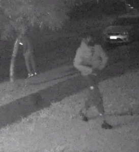 Pair sought over car theft