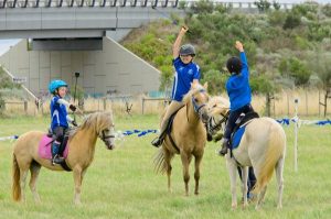 Search for a new home