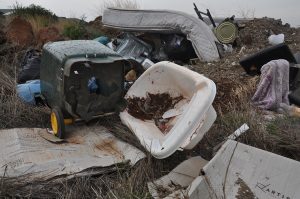 Law review targets nature strips, vacant land