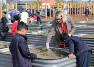 Kitchen garden grows
