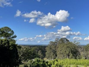 Help shape new regional park