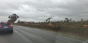 Trees make way for new intersection