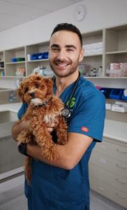 Brush your pet’s teeth