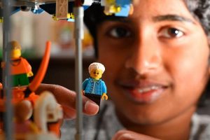 Calling all LEGO fans