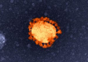 Two Wyndham residents lost to COVID-19