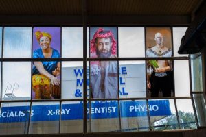 Portraits of diversity