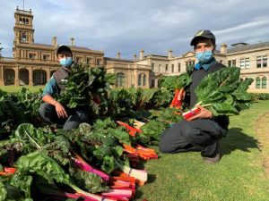 Helping to put food on the table in Shepparton