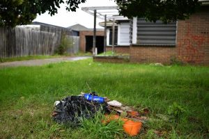 Nature strip gripes growing fast