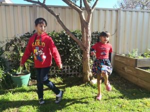 Video is a virtual hit