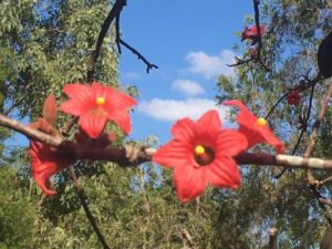 Community grants open