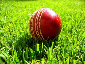 Council bats in favour of cricket facility expansion