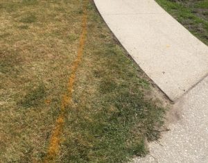 Petition against footpath